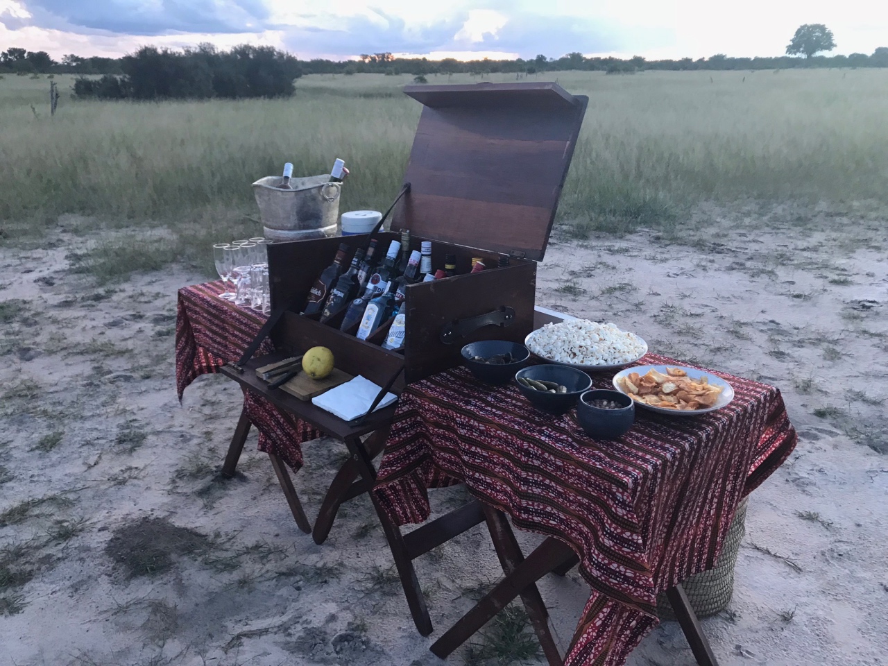Game drive sundowners done in style at Somalisa Camp