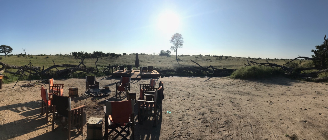 A view onto the private concession in Hwange where all the wild things roam